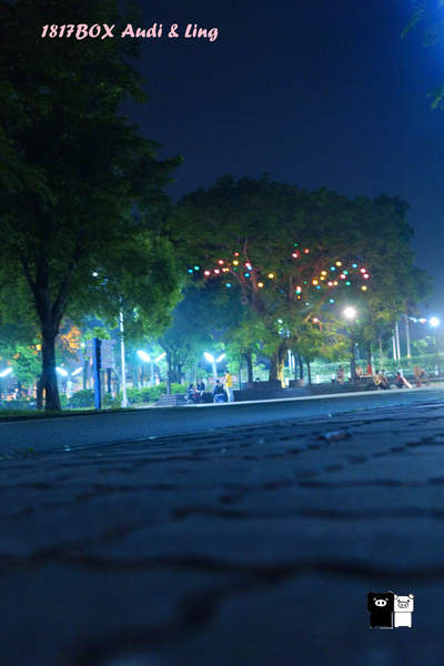 【雲林。斗六】環球科大鳳凰夫妻樹浪漫點燈。夜拍。鳳凰樹。愛月樓