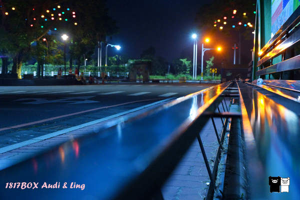 【雲林。斗六】環球科大鳳凰夫妻樹浪漫點燈。夜拍。鳳凰樹。愛月樓