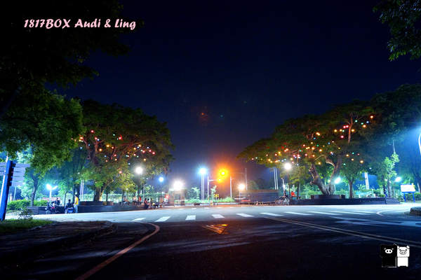 【雲林。斗六】環球科大鳳凰夫妻樹浪漫點燈。夜拍。鳳凰樹。愛月樓