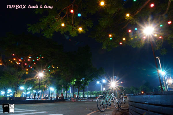 【雲林。斗六】環球科大鳳凰夫妻樹浪漫點燈。夜拍。鳳凰樹。愛月樓