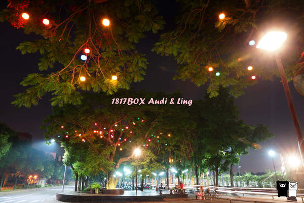 【雲林。斗六】環球科大鳳凰夫妻樹浪漫點燈。夜拍。鳳凰樹。愛月樓