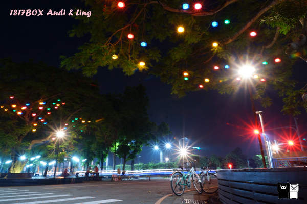 【雲林。斗六】環球科大鳳凰夫妻樹浪漫點燈。夜拍。鳳凰樹。愛月樓