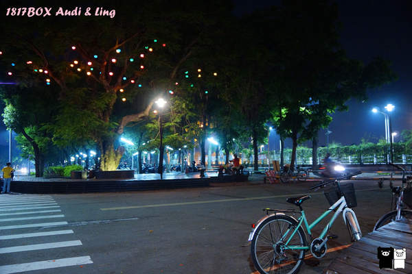 【雲林。斗六】環球科大鳳凰夫妻樹浪漫點燈。夜拍。鳳凰樹。愛月樓