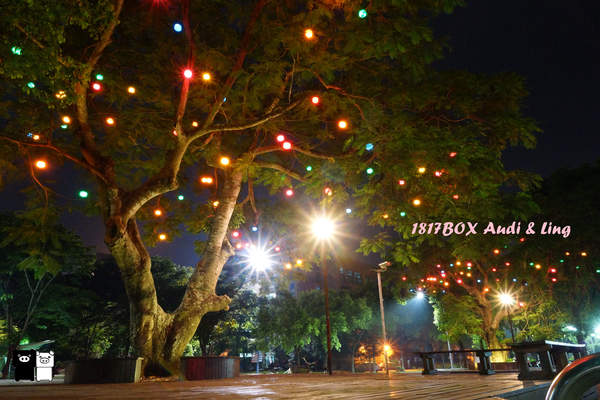 【雲林。斗六】環球科大鳳凰夫妻樹浪漫點燈。夜拍。鳳凰樹。愛月樓