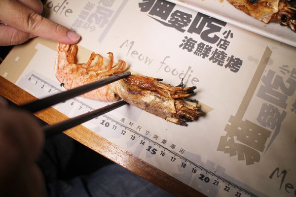 1061202-貓愛吃-27