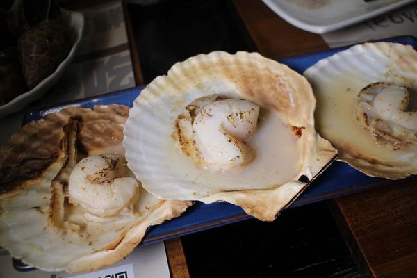 1061202-貓愛吃-06