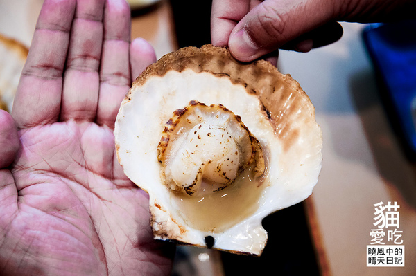 貓愛吃小店海鮮燒烤：【新莊|貓愛吃小店海鮮燒烤】食材商自營 高CP值海鮮原味燒烤上桌啦!!!（含完整菜單）