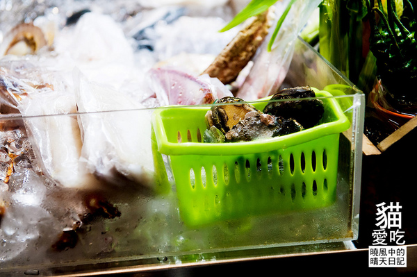 貓愛吃小店海鮮燒烤：【新莊|貓愛吃小店海鮮燒烤】食材商自營 高CP值海鮮原味燒烤上桌啦!!!（含完整菜單）