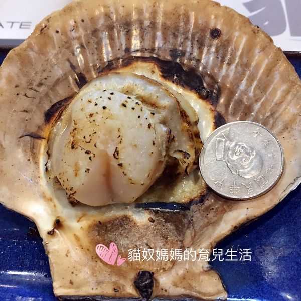 20比10元硬幣大的貝肉.jpg