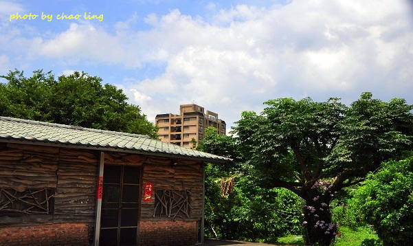 三樹路荷花池-8.JPG - 2016夏之豔陽