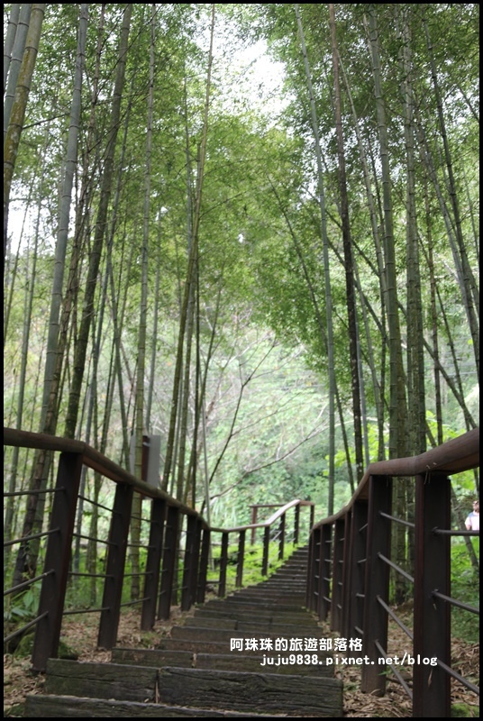 迷糊步道7.JPG