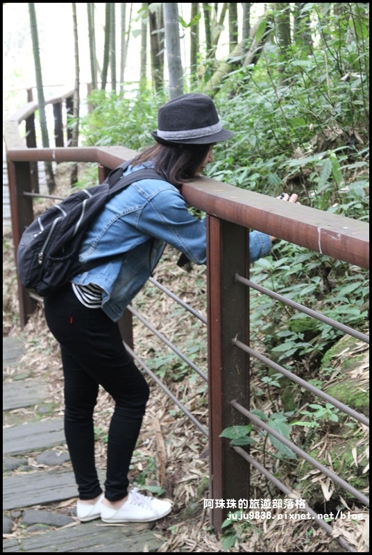 迷糊步道11.JPG