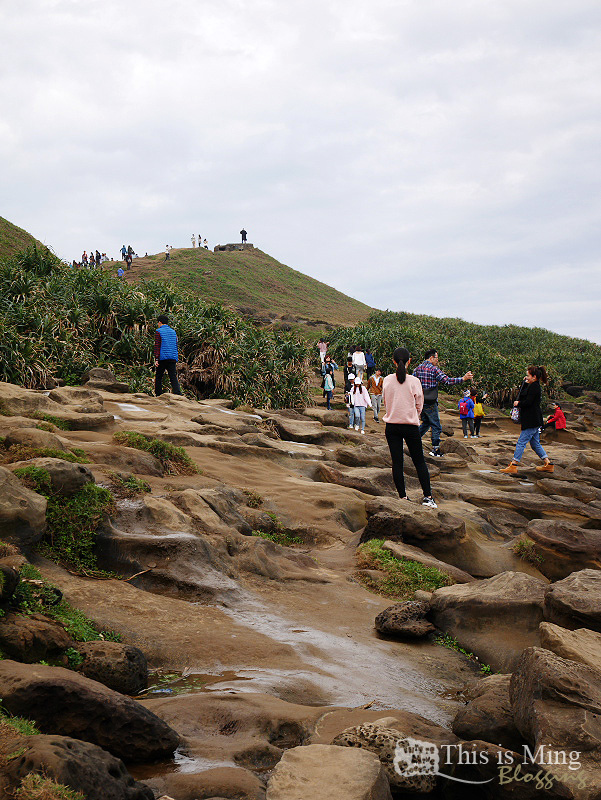 【新北瑞芳│遊記】深澳岬角 象鼻岩～刺激的崖邊漫步