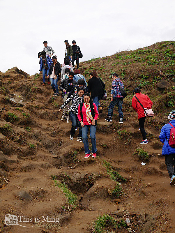 【新北瑞芳│遊記】深澳岬角 象鼻岩～刺激的崖邊漫步