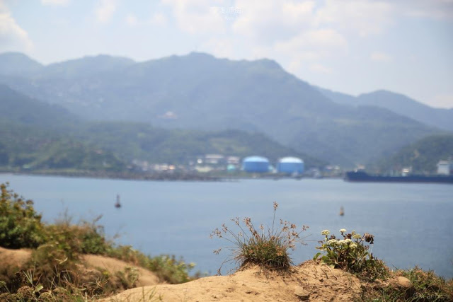 深澳岬角｜象鼻岩-14