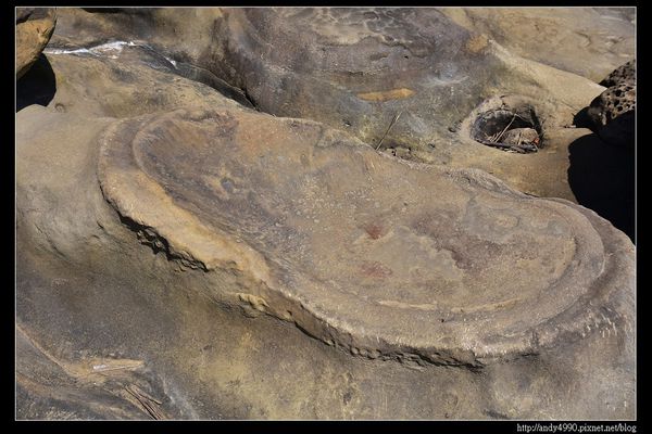 20160213深澳象鼻岩21 20160213深澳象鼻岩21