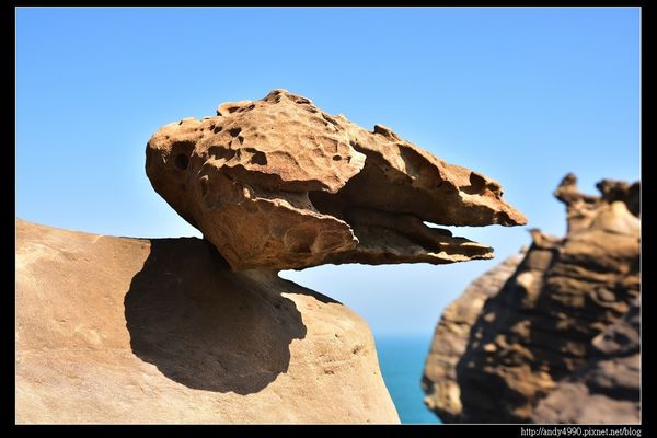 20160213深澳象鼻岩19 20160213深澳象鼻岩19