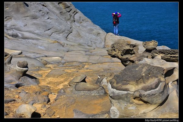 20160213深澳象鼻岩18 20160213深澳象鼻岩18