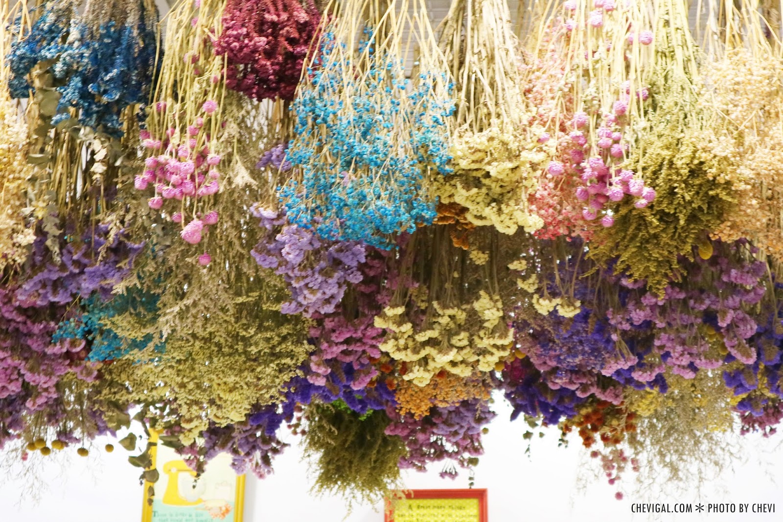 台中西屯│吉兒義式花園餐廳*義式料理與窯烤披薩別錯過。還有乾燥花飾點綴下午茶時光