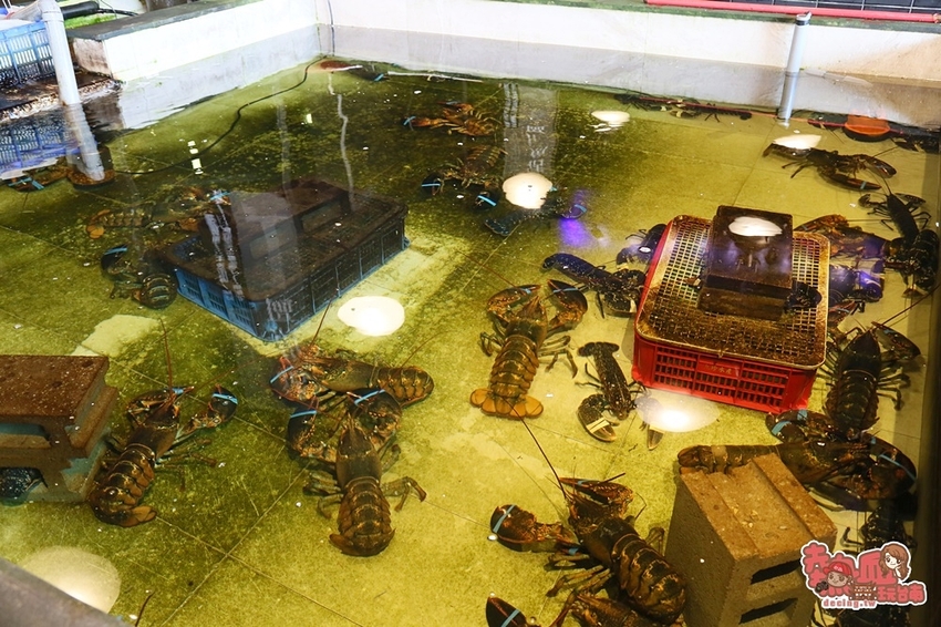 到底是逛魚市場還是吃海產!安平港直送的鮮味,節日慶生約會首選:丸珍水產 - 熱血玩台南。跳躍新世界