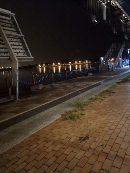 丸珍水產_190522_0001