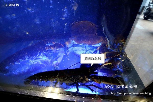 IMG_6921.JPG IMG_6921.JPG