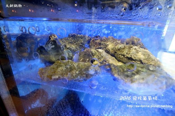 IMG_6922.JPG IMG_6922.JPG