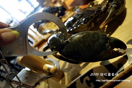 IMG_6991.JPG IMG_6991.JPG