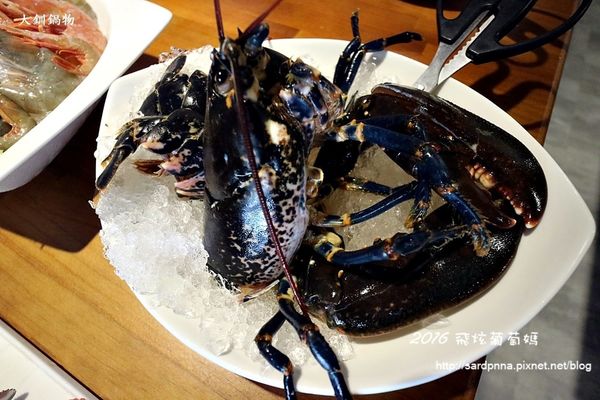 IMG_7023.JPG IMG_7023.JPG