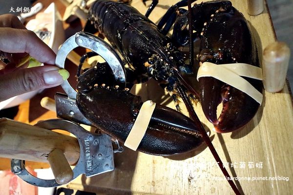 IMG_6992.JPG IMG_6992.JPG