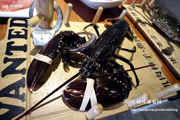 IMG_6988.JPG IMG_6988.JPG