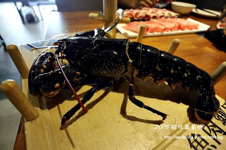 IMG_6985.JPG IMG_6985.JPG