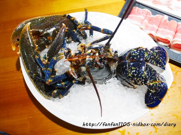 【台北海鮮火鍋】南京復興站 活海鮮大釧鍋物 法國藍龍蝦雙人套餐 (23).JPG
