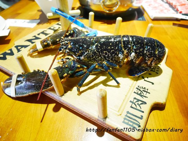 【台北海鮮火鍋】南京復興站 活海鮮大釧鍋物 法國藍龍蝦雙人套餐 (21).JPG