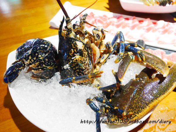 【台北海鮮火鍋】南京復興站 活海鮮大釧鍋物 法國藍龍蝦雙人套餐 (24).JPG