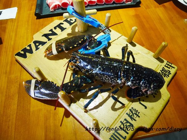 【台北海鮮火鍋】南京復興站 活海鮮大釧鍋物 法國藍龍蝦雙人套餐 (20).JPG