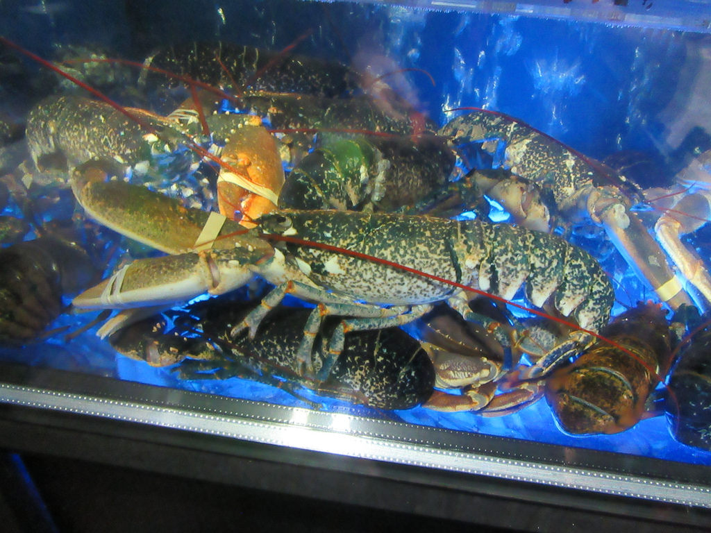 20170819_大釧鍋物 (168)