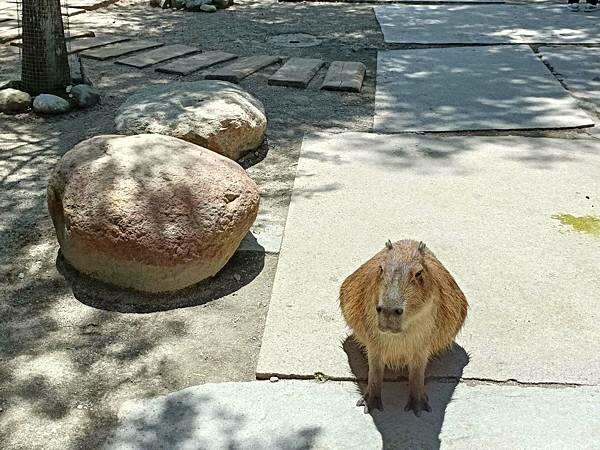 /tmp/phpQS7lkM /tmp/phpQS7lkM