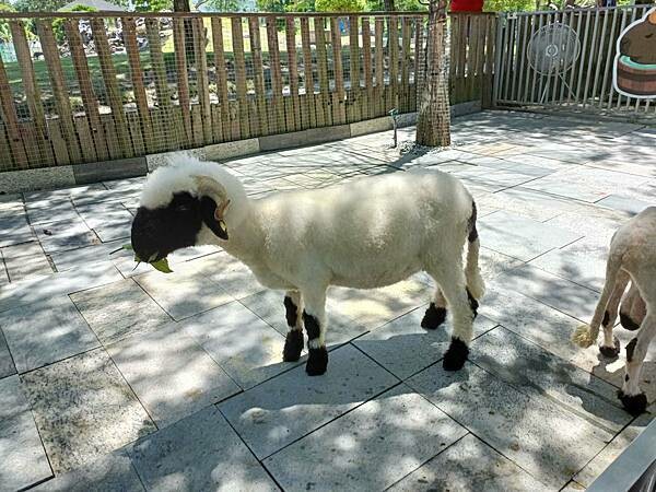 /tmp/phpYvftzG /tmp/phpYvftzG