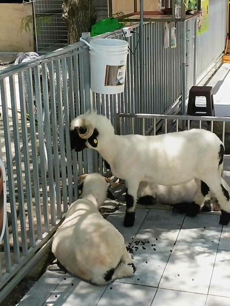 /tmp/phpWfQmZG /tmp/phpWfQmZG