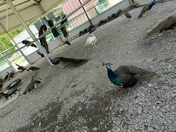 /tmp/phpi8onMJ /tmp/phpi8onMJ