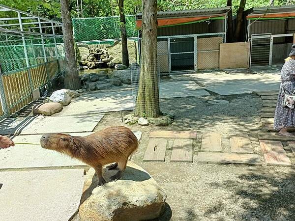 /tmp/phphMOJVG /tmp/phphMOJVG