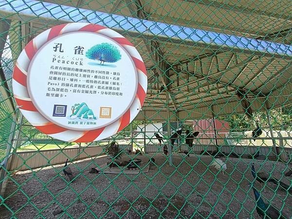 /tmp/phpFwVWTK /tmp/phpFwVWTK