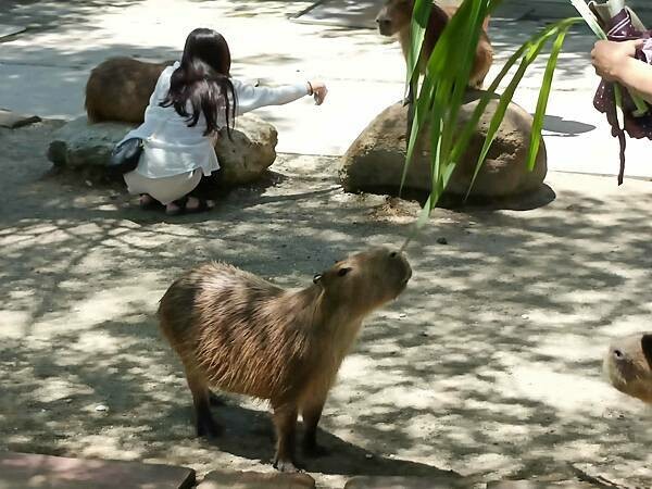 /tmp/phpLeFAvH /tmp/phpLeFAvH