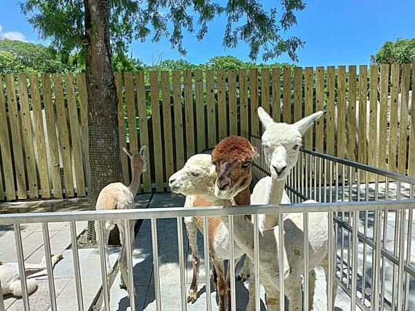 /tmp/phpBfKgzI /tmp/phpBfKgzI