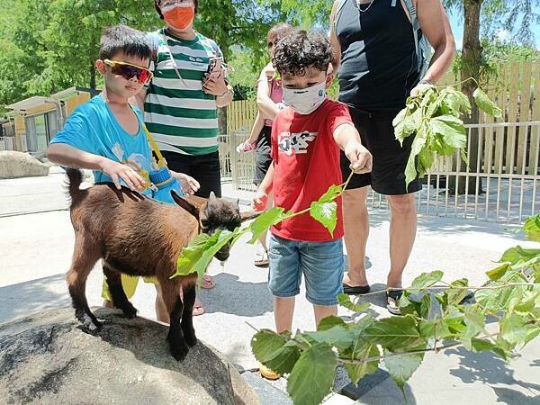 /tmp/phpG1206v /tmp/phpG1206v