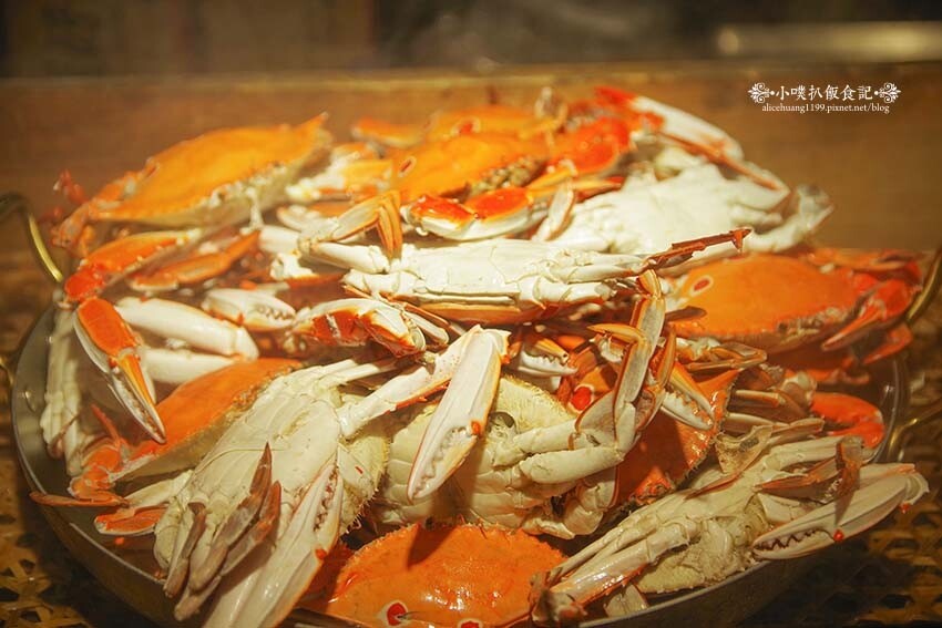 【大直美食】『大直典華 豐FOOD海陸百匯』近劍南路站/下午