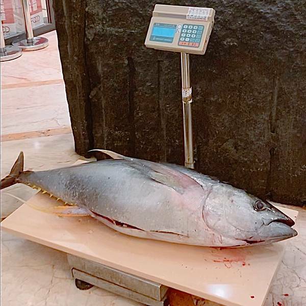 台北 中山區 豐FOOD海陸百匯 13.jpeg