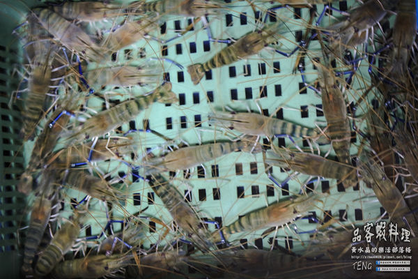 品客蝦料理 | 桃園市/桃園區 (桃園蝦料理小吃N訪推薦；用心做到最好的蝦料理，三五好友來這下酒乾杯最讚！喝酒不開車，安全有保障。)