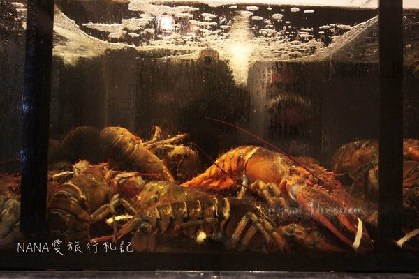 妃黛美式海鮮餐廳:Fidèle妃黛美式海鮮餐廳。冬季限定獨創薑母醬汁手抓Seafood,超狂超霸氣的波士頓龍蝦。